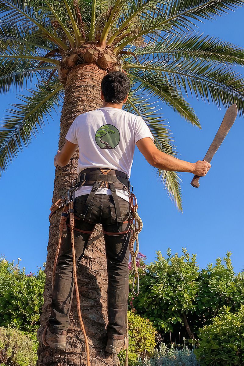 Jardín paisajístico